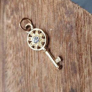Stardust manor key pendant
